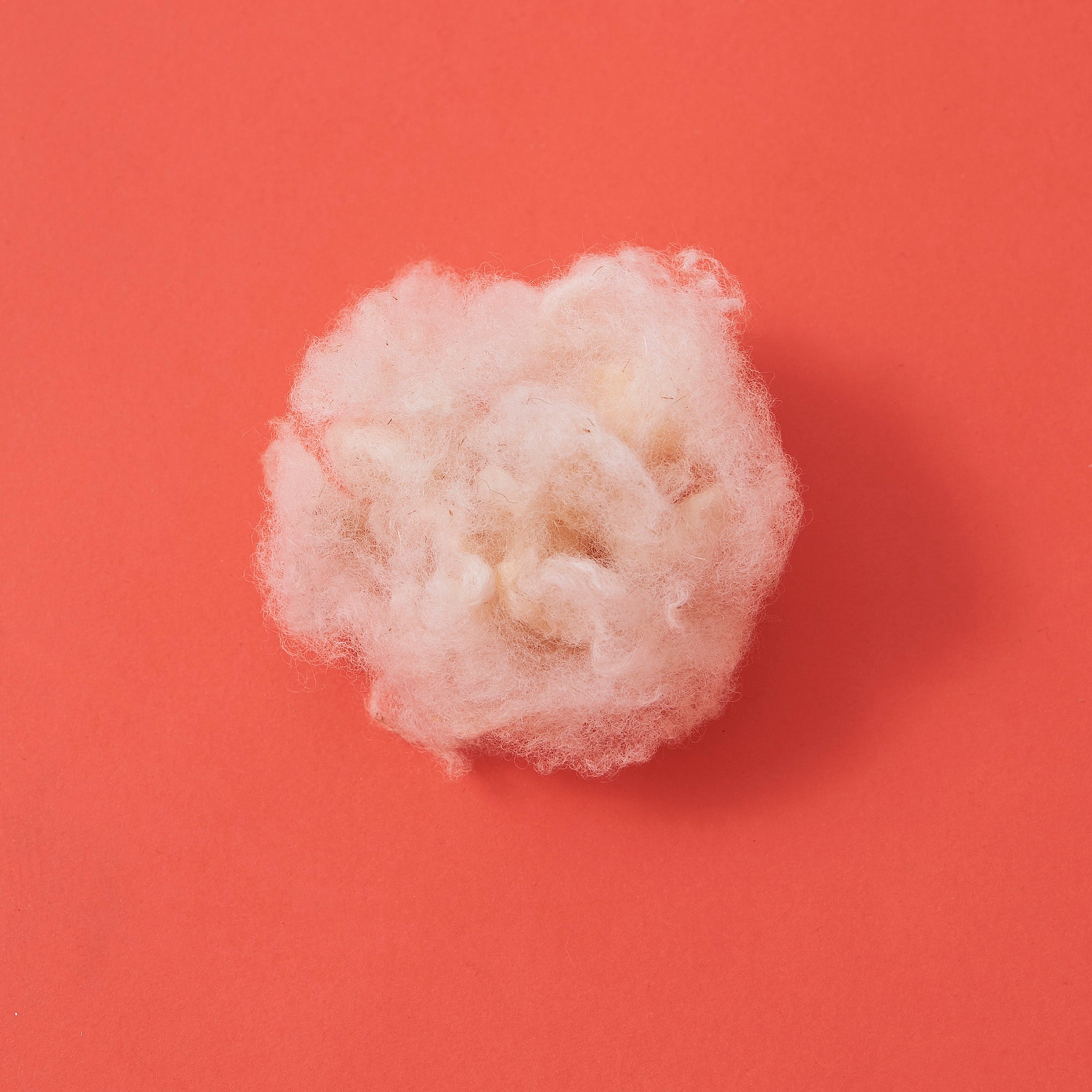 ウール 自然からの贈り物 – HERENESS.jp